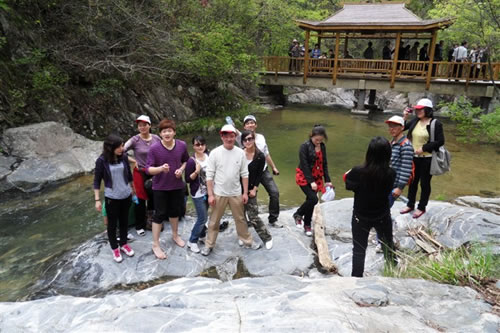 ��˾��֯Ա����Ӣɽ�һ��崺��