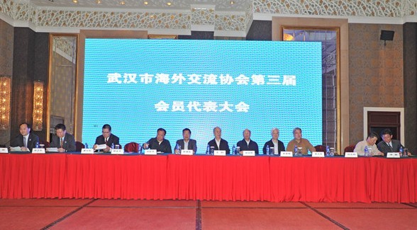 ����쵱ѡ�人�к��⽻��Э�ḱ�᳤