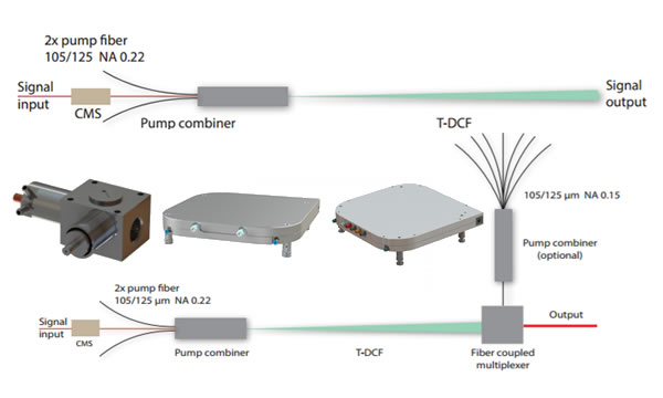 Ƥ����˼���Ŵ���