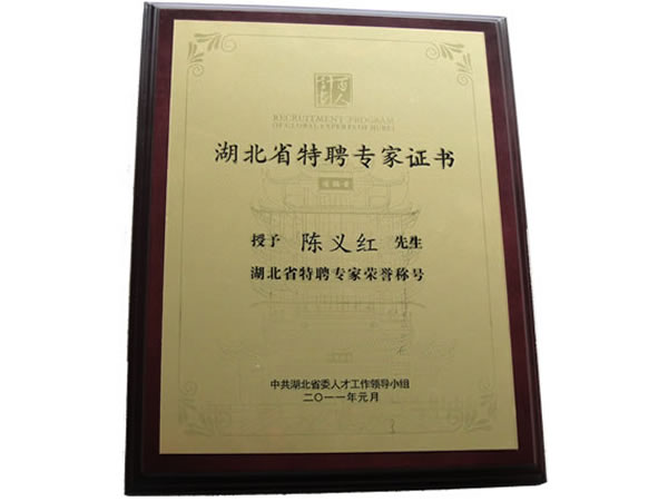 ����ʡ��Ƹר��